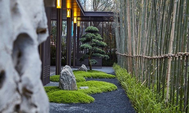 山作庭院现代中式风格装修(山居庭院)